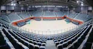 洛杉矶道奇队宣布 2026 赛季将增设“大谷 17 号”专属球迷看台区